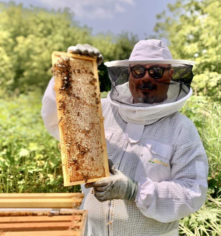 Jose Martinez in a beekeeping suit inspecting a honeycomb frame from one of his hives