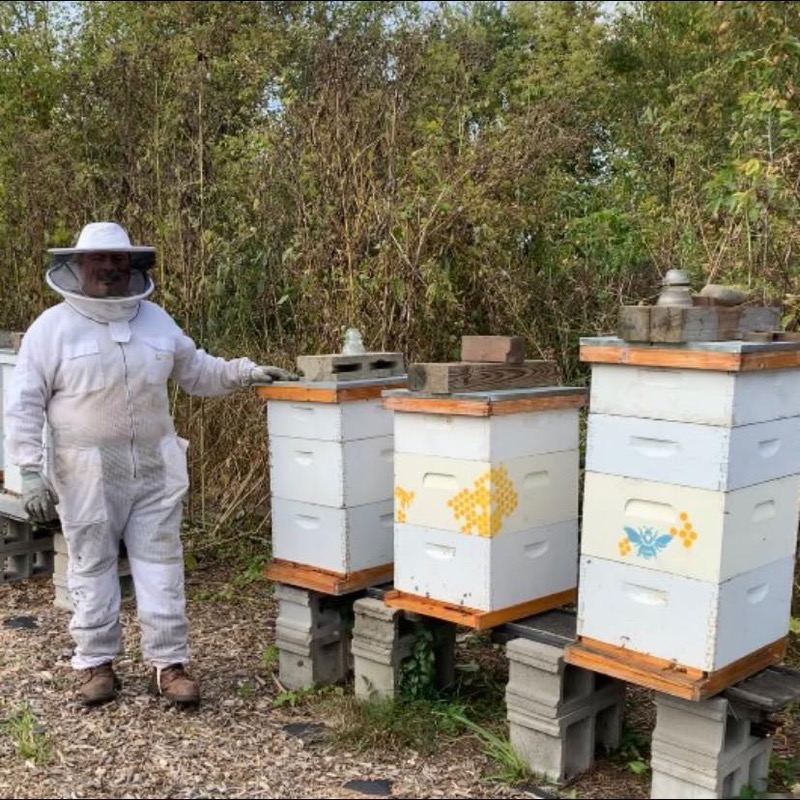 Jose Martinez beekeeping in Lake County, Illinois